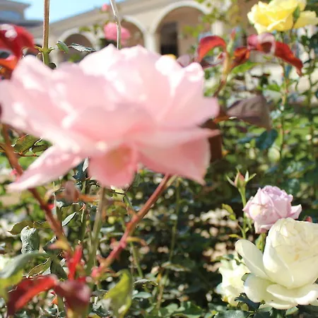 Ξενοδοχείο με διαμερίσματα Apartments Atia Τσερνομόρετς