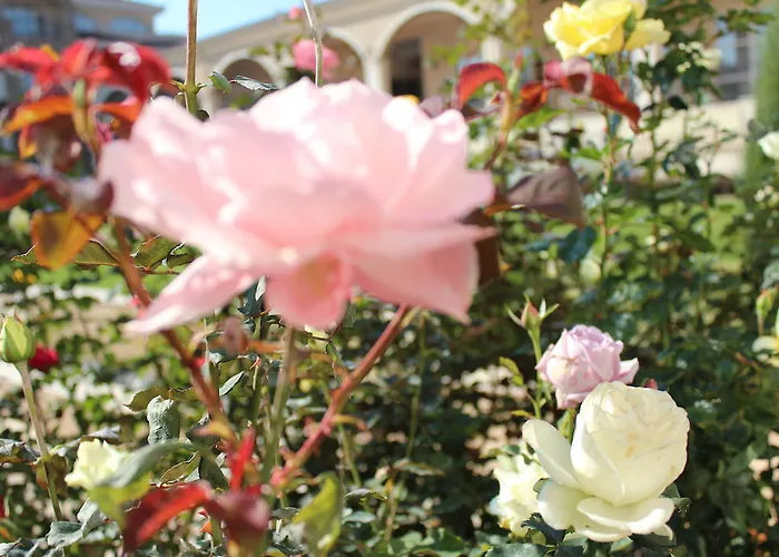 公寓式酒店 阿迪亚度假酒店 切尔诺莫雷茨